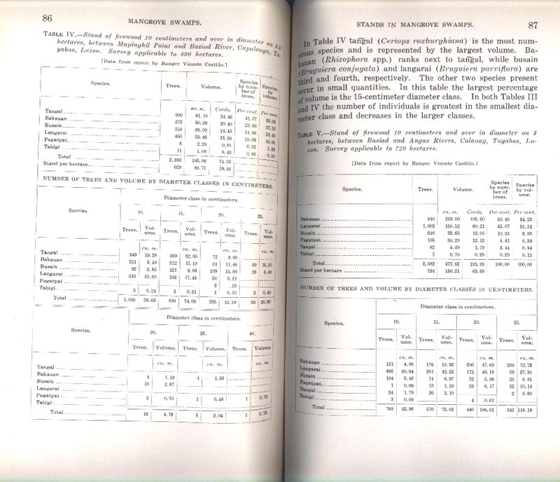 Philippine Mangrove Swamps - aus dem Buch